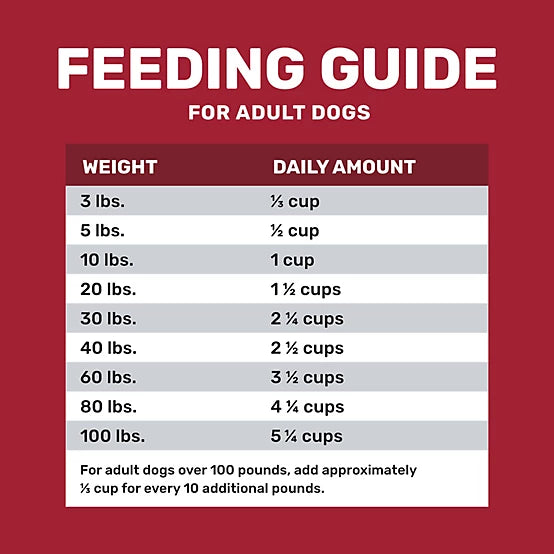 4health Grain Free Adult Beef and Potato Formula Dry Dog Food