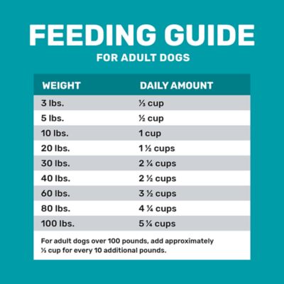 4health Grain Free Adult Whitefish and Potato Formula Dry Dog Food