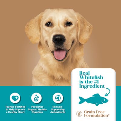 4health Grain Free Adult Whitefish and Potato Formula Dry Dog Food