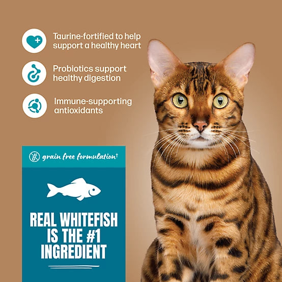 4health Grain Free Adult Indoor/Outdoor Whitefish and Potato Formula Dry Cat Food, 16lb
