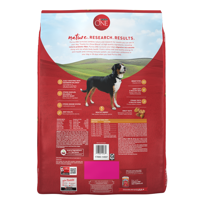 Purina ONE Chicken and Rice Formula Dry Dog Food