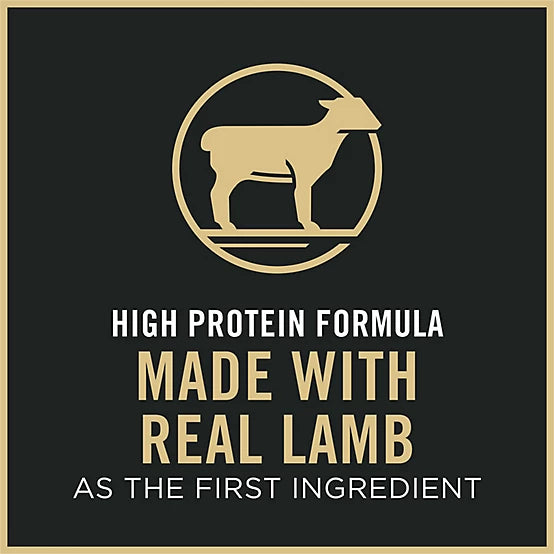 Purina Pro Plan Adult Indoor/Outdoor Sensitive Skin and Stomach Lamb and Rice Formula Dry Cat Food, 7lb