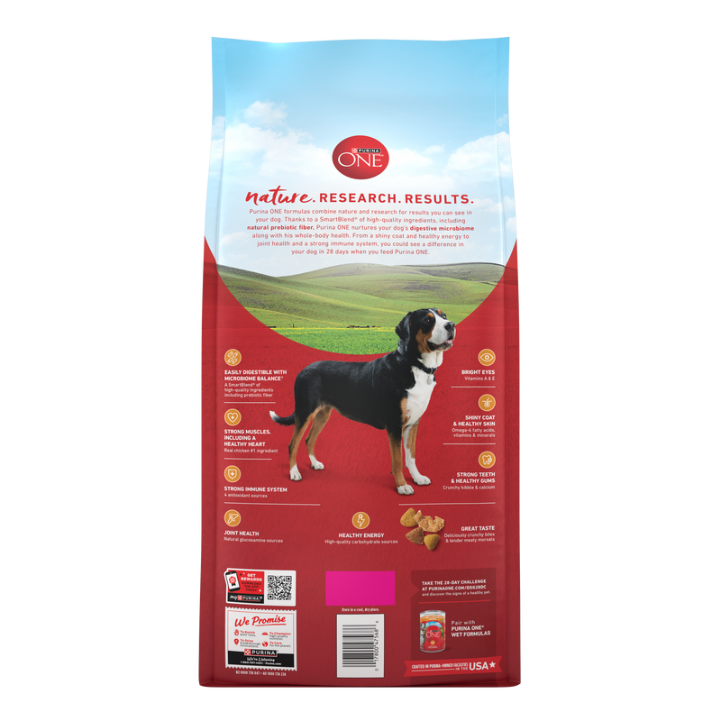 Purina ONE Chicken and Rice Formula Dry Dog Food