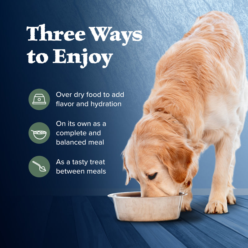 Blue Buffalo Wilderness Adult Wet Dog Food, High-Protein & Grain-Free, Made with Natural Ingredients, Duck & Chicken Grill, 12.5-oz. Can