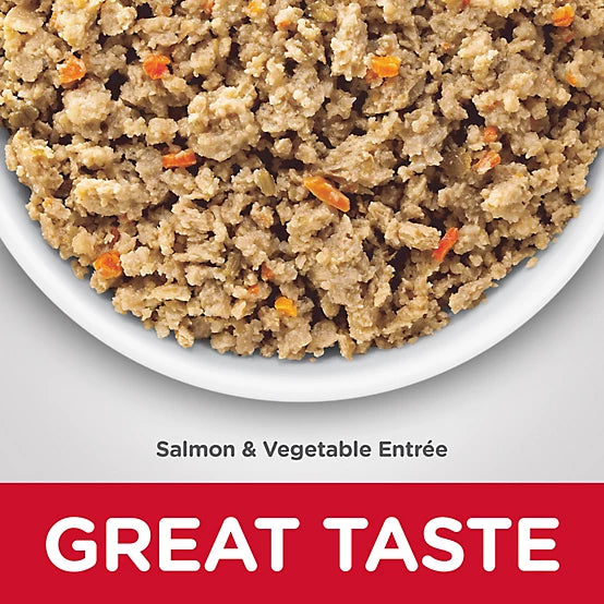 Hill's Science Diet Adult Sensitive Stomach and Skin Grain-Free Minced Salmon and Vegetables Recipe Wet Dog Food, 12.8 oz.