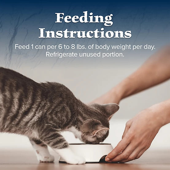 Blue Buffalo Wilderness Adult Grain-Free Chicken Pate Natural Wet Cat Food, 5.5 oz.