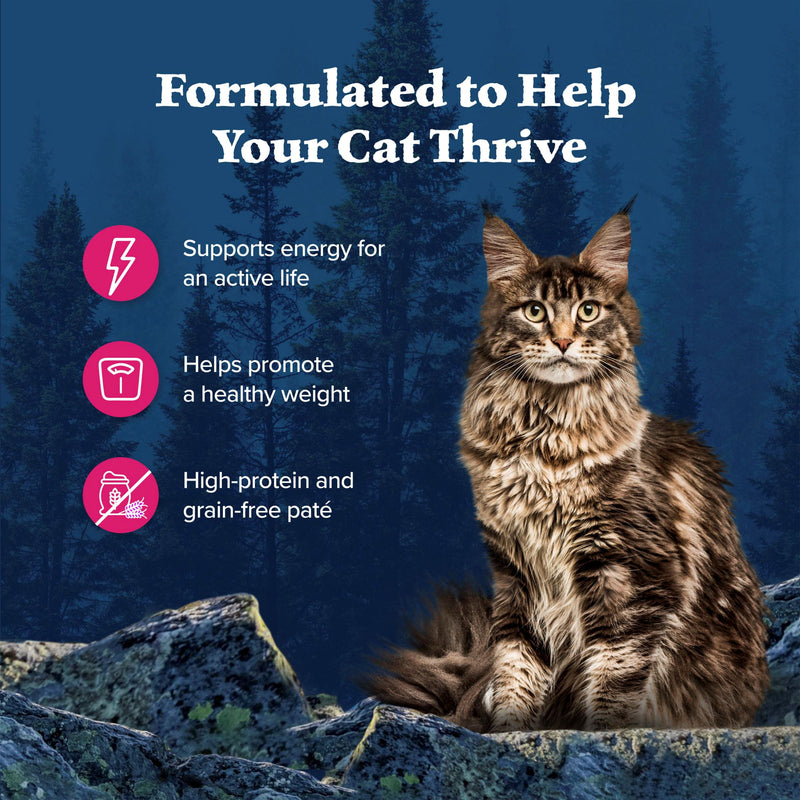Blue Buffalo Wilderness Natural High-Protein Grain-Free Wet Food for Adult Cats, Salmon Paté, 5.5-oz. Can