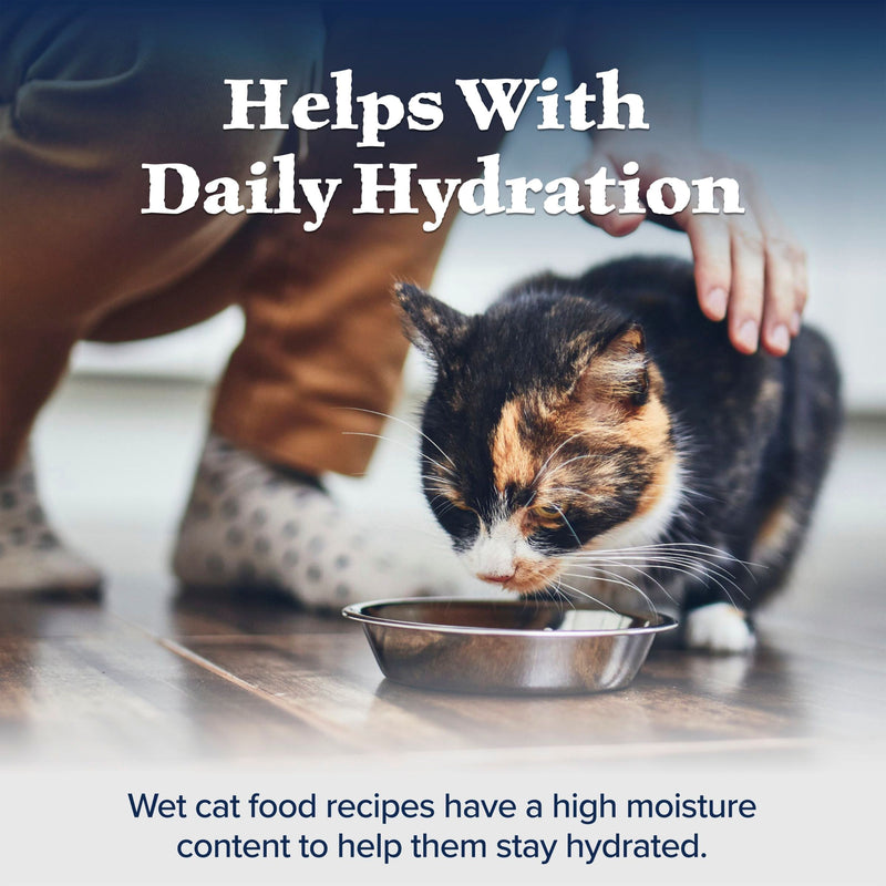Blue Buffalo Wilderness Natural High-Protein Grain-Free Wet Food for Adult Cats, Salmon Paté, 5.5-oz. Can