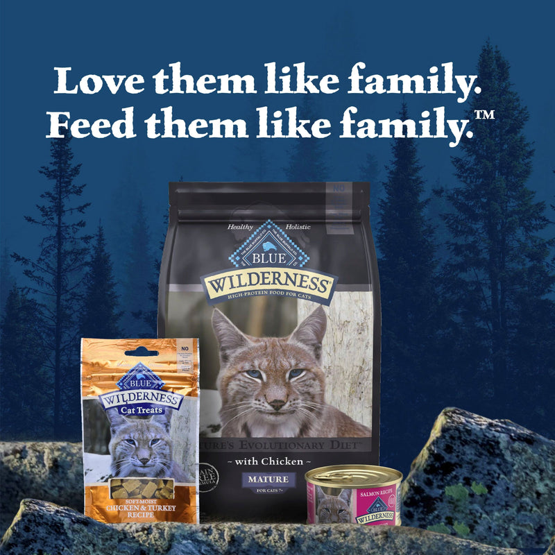 Blue Buffalo Wilderness Natural High-Protein Grain-Free Wet Food for Adult Cats, Salmon Paté, 5.5-oz. Can