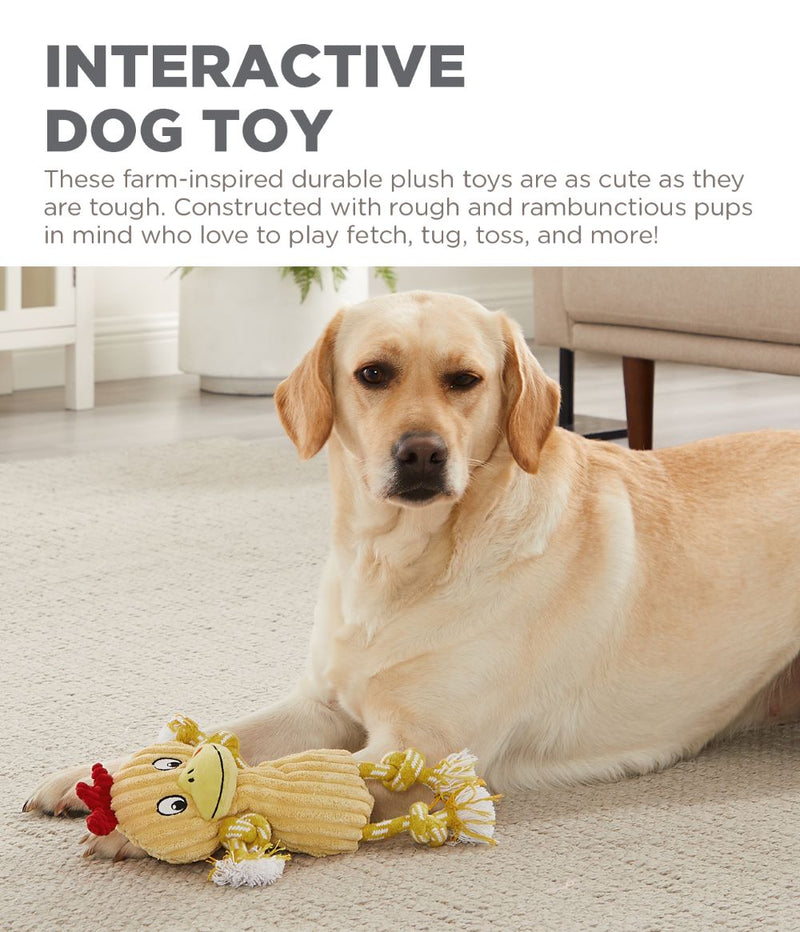 Outward Hound Ranch Roperz Chicken Dog Toy Yellow Small