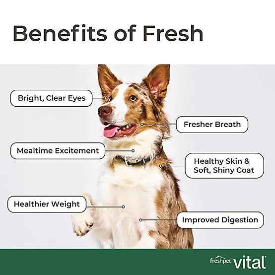 Freshpet Vital, Fresh Dog Food, Turkey Recipe with Carrots, Brown Rice & Spinach Roll, 6 lbs.