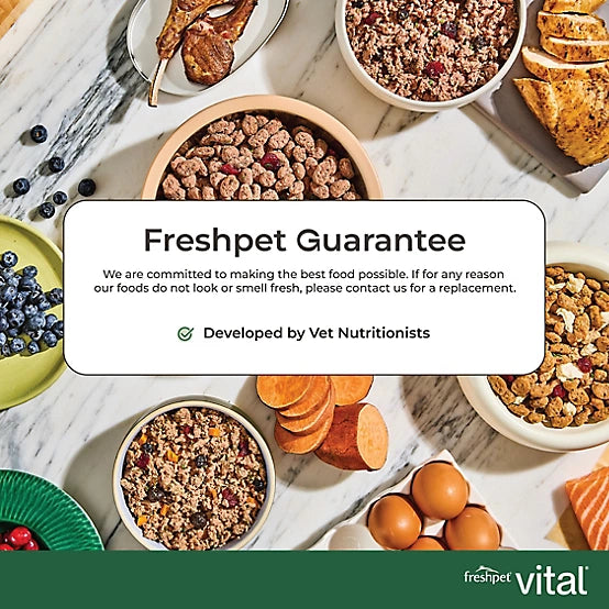 Freshpet Vital, Fresh Dog Food, Grain Free Chicken, Beef, Salmon, & Egg Recipe, 5.5lbs.
