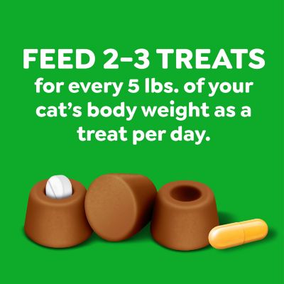 Greenies Feline Pill Poockets for Cats Natural Soft Cat Treats, Salmon Flavor, 1.6 oz. pk., 45 ct.