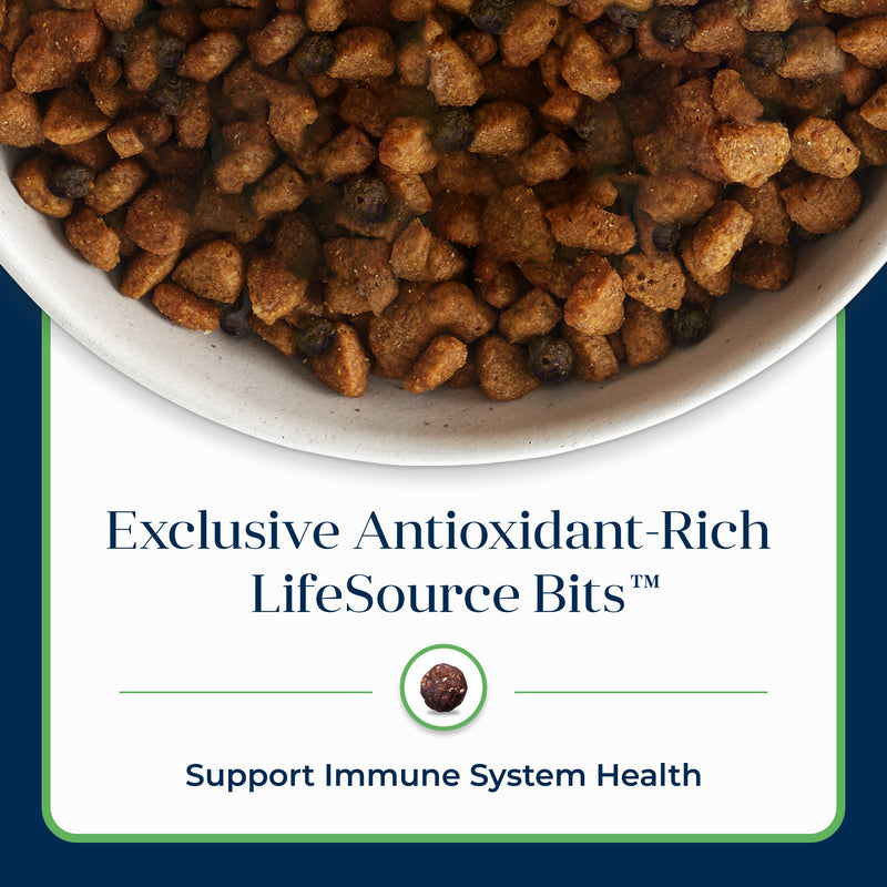 Blue Buffalo Basics Adult Grain-Free Dry Dog Food for Skin & Stomach Care, Limited Ingredient Diet, Made in the USA with Natural Ingredients, Lamb & Potato Recipe, 4-lb Bag