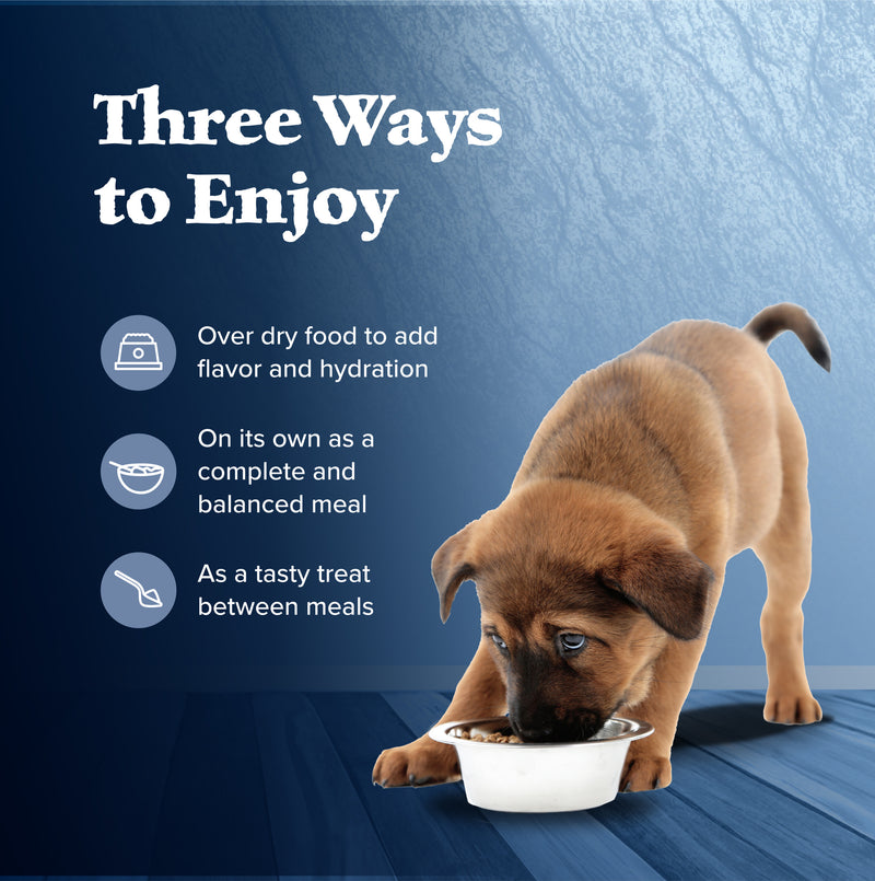 Blue Buffalo Wilderness Natural High-Protein & Grain-Free Wet Food for Puppies, Turkey & Chicken, 12.5-oz. Can