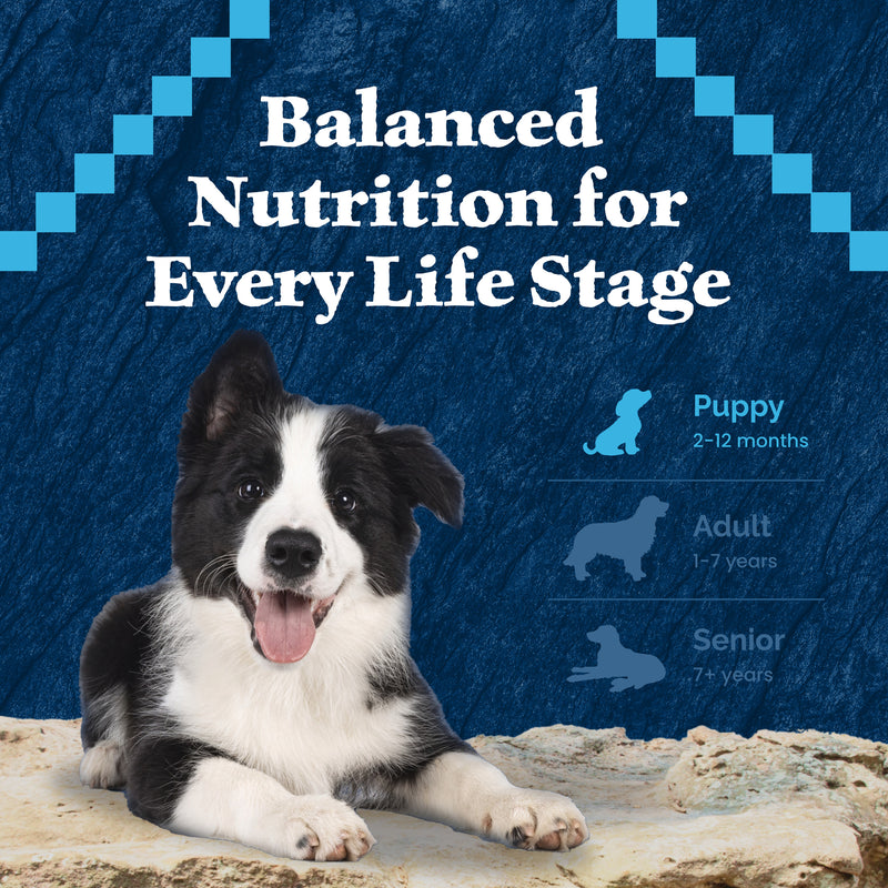 Blue Buffalo Wilderness Natural High-Protein & Grain-Free Wet Food for Puppies, Turkey & Chicken, 12.5-oz. Can