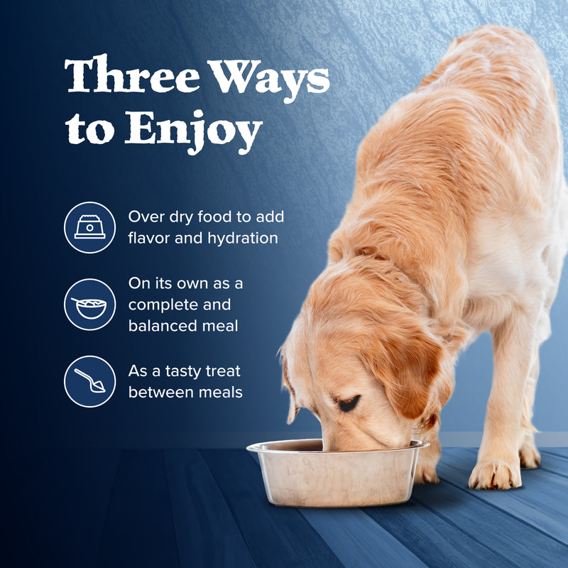 Blue Buffalo Wilderness Adult Wet Dog Food, Healthy Weight, High-Protein and Grain-Free, Turkey & Chicken Recipe, 12.5-oz. Can