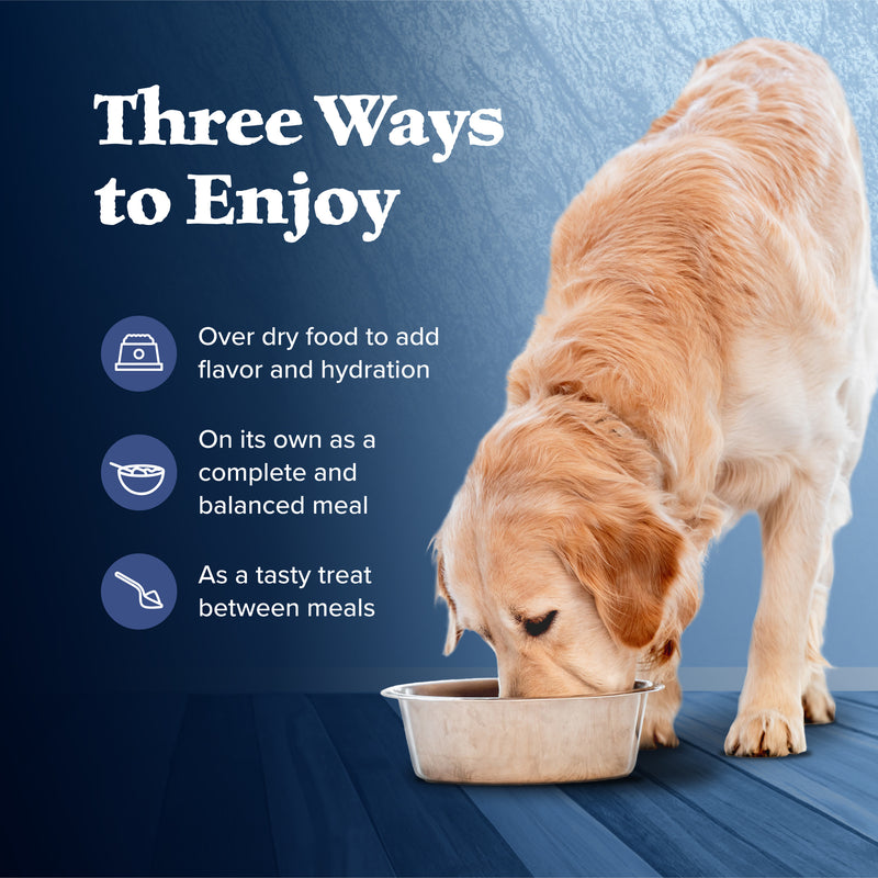 Blue Buffalo Wilderness High Protein, Natural Senior Wet Dog Food, Turkey & Chicken Grill 12.5-oz Can