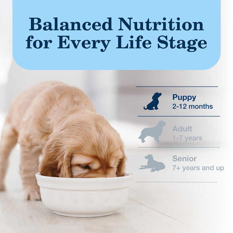 Blue Buffalo Homestyle Recipe Puppy Wet Dog Food, Made with Natural Ingredients, Chicken Dinner with Garden Vegetables & Brown Rice, 12.5-oz. Can