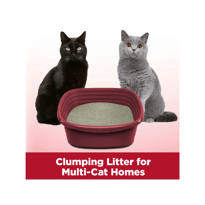 ARM & HAMMER Clump & Seal Litter, Multi-Cat, 19 lb