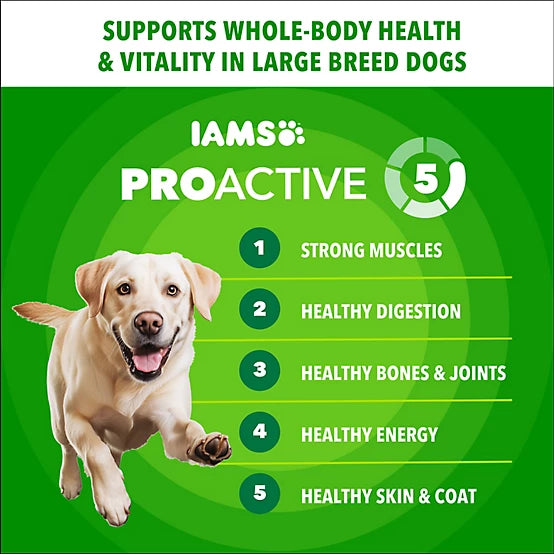 Iams Proactive Health Large Breed Adult Real Chicken and Whole Grain Recipe Dry Dog Food, 38.5lb