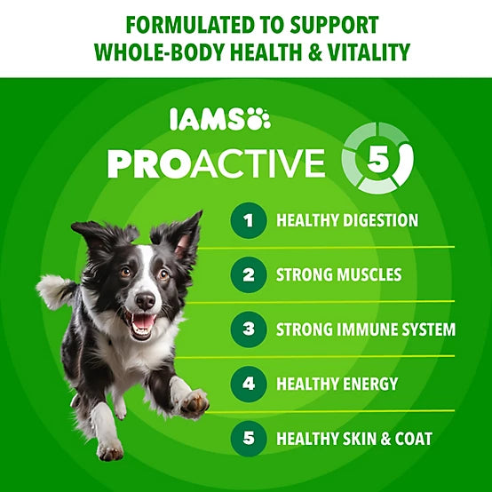 Iams ProActive Health MiniChunks Adult Chicken and Whole Grain Recipe Dry Dog Food, 38.5lb