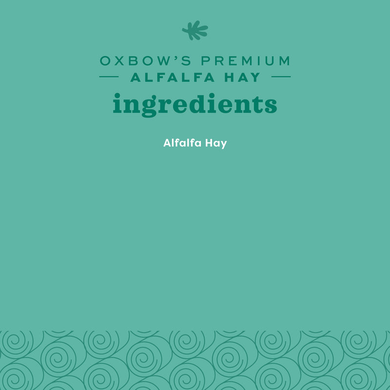 Oxbow Animal Health Alfalfa Hay 15oz