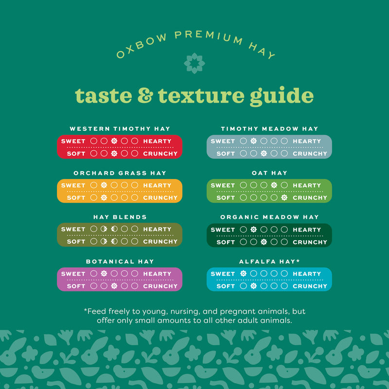 Oxbow Animal Health Alfalfa Hay 15oz