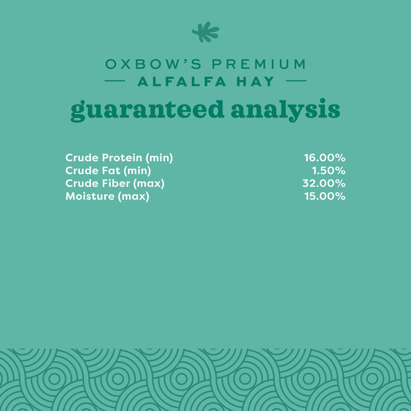 Oxbow Animal Health Alfalfa Hay 15oz