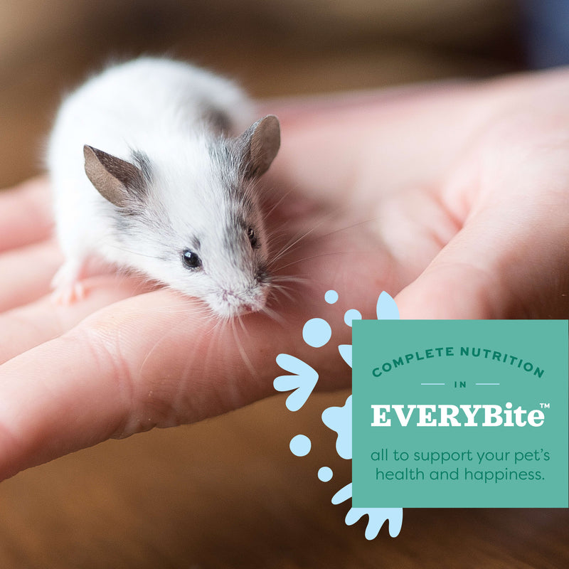 Oxbow Animal Health Essentials Mouse & Young Rat Food 2.5lb