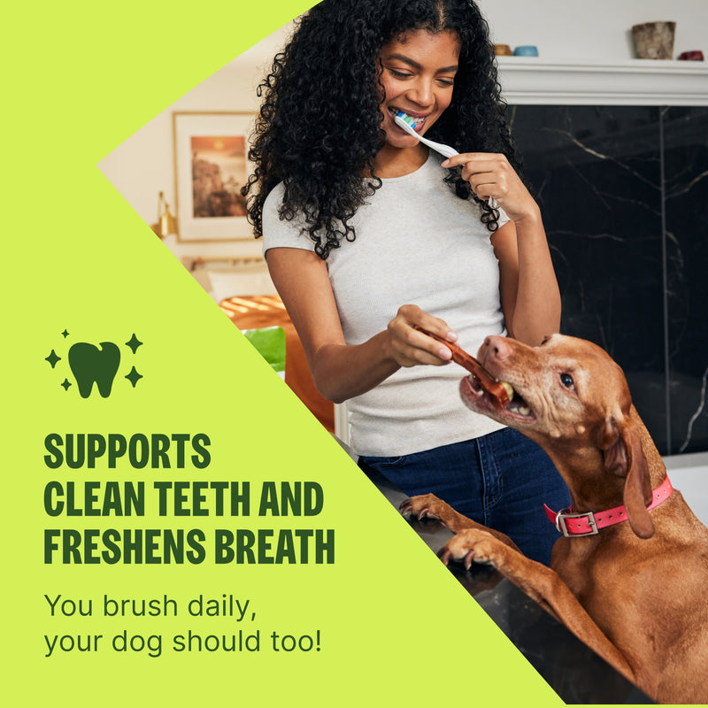 Whimzees Stix Dental Dog Chew