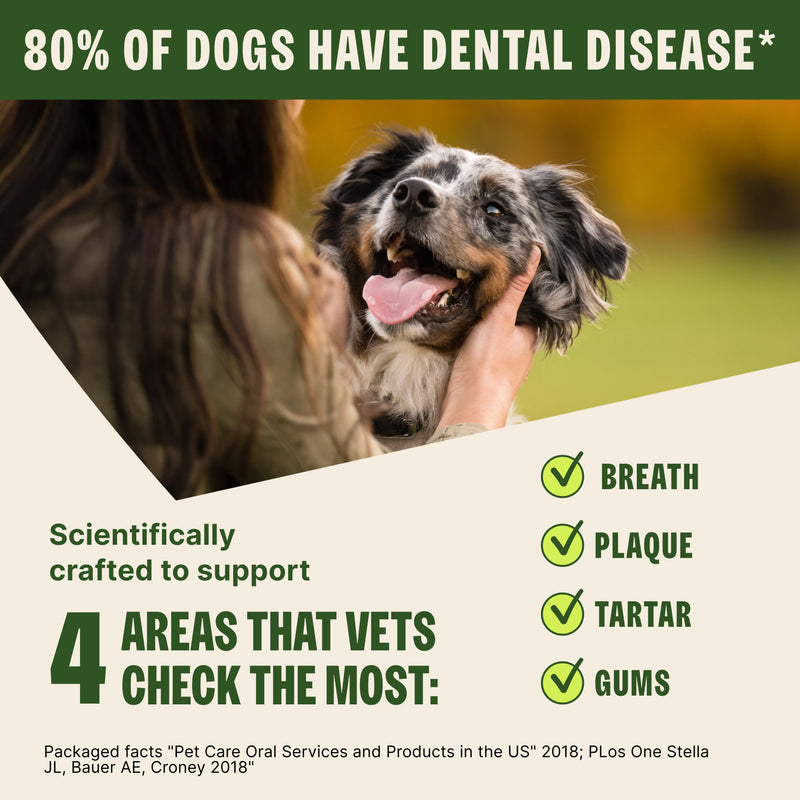 Whimzees Stix Dental Dog Chew