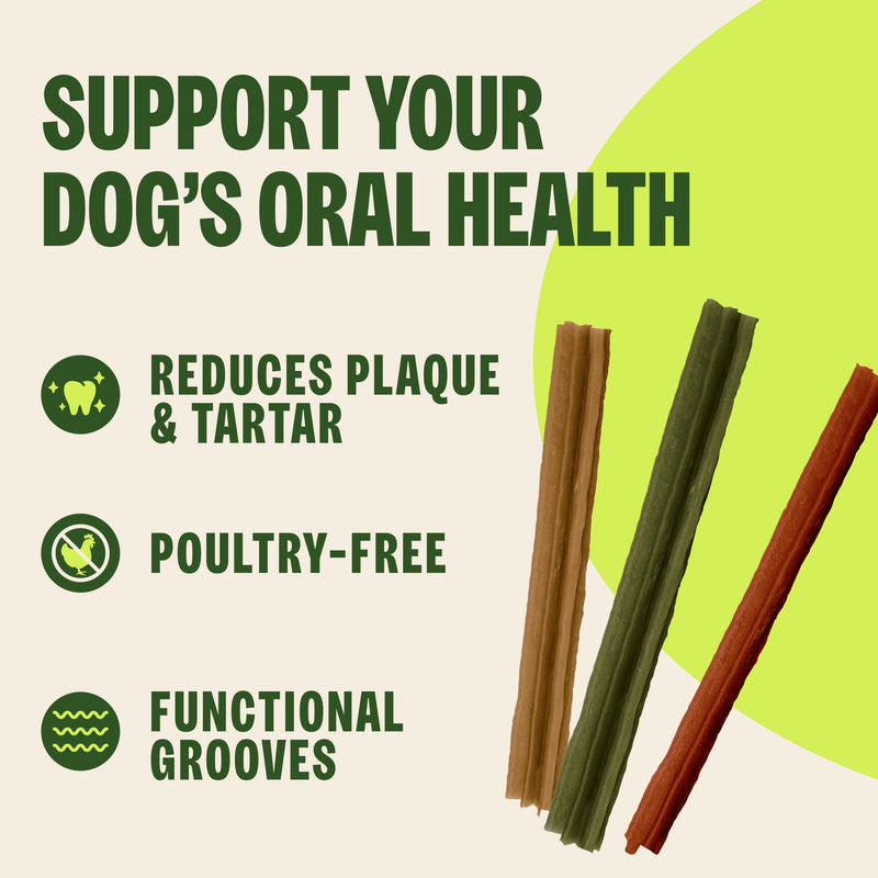Whimzees Stix Dental Dog Chew