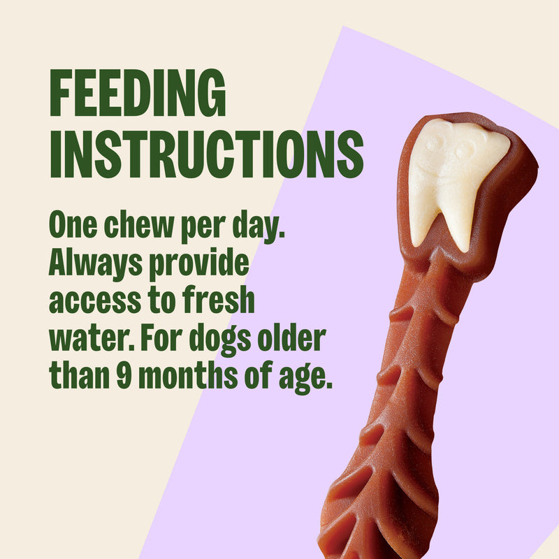 Whimzees Brushzees Natural Daily Dental Medium Breed Dog Treats