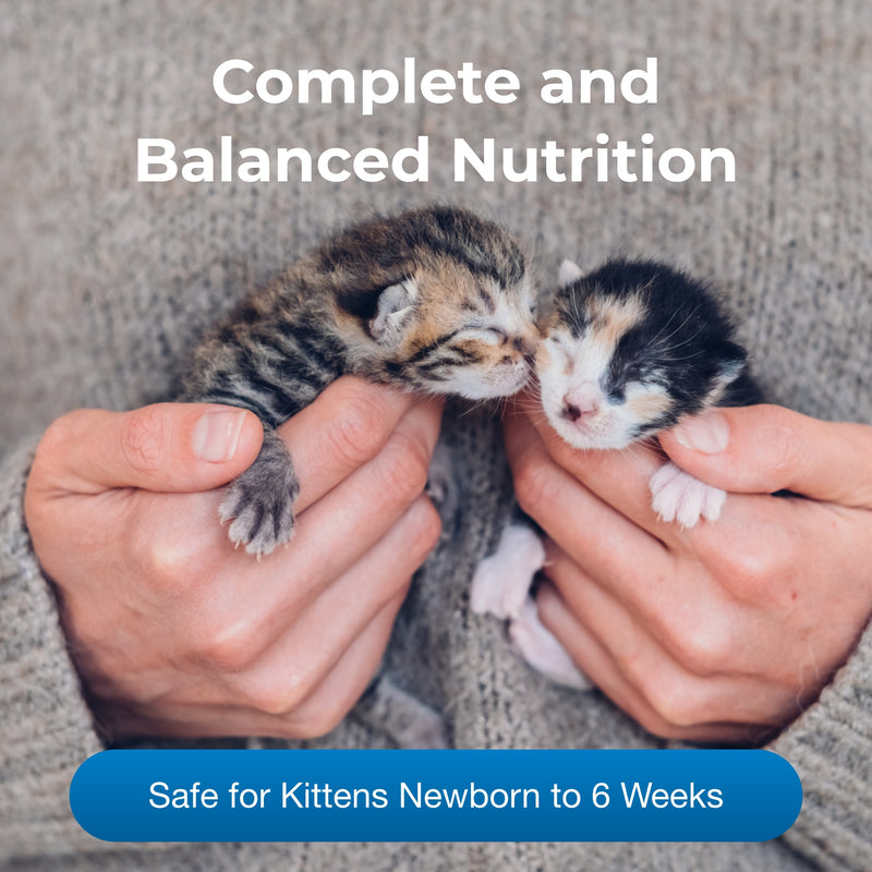 PetAg's KMR 12OZ KITTEN MILK REPLACEMENT POWDER