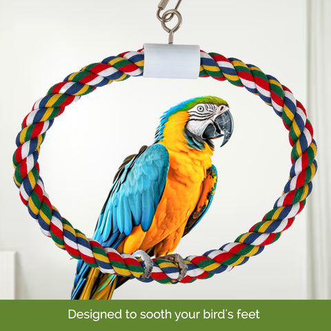 Bird Toys & Perches