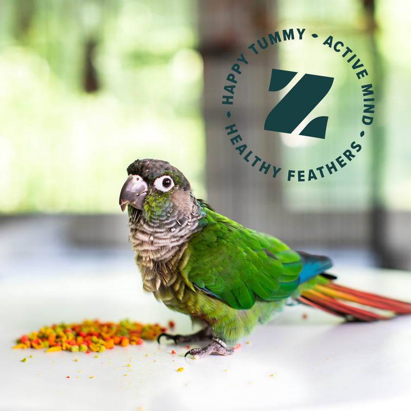 Zupreem FruitBlend Flavor Food with Natural Flavors for Medium Birds