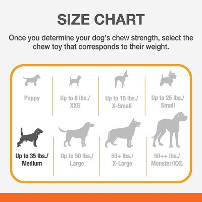 Durable Bacon Bone Wolf