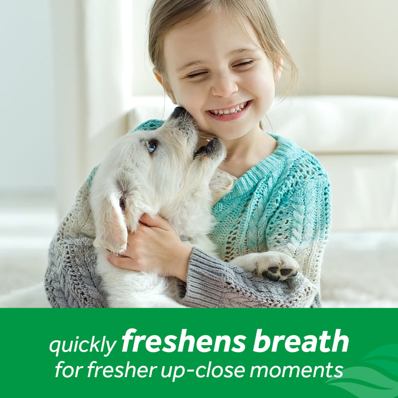 TropiClean Fresh Breath Mint Foam for Pets, 4.5oz