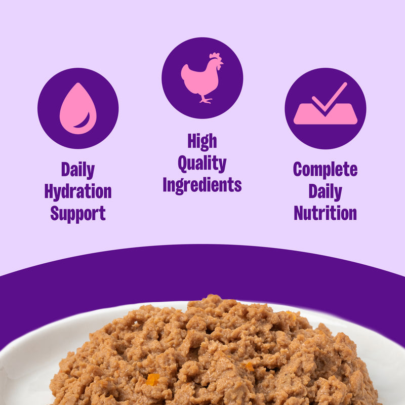 Wellness Complete Health Natural Grain Free Chicken Pate Wet Canned Cat Food