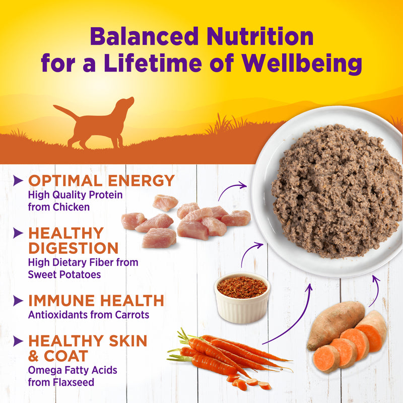 Wellness Complete Health Natural Wet Canned Dog Food Turkey & Sweet Potato, 12.5-Ounce Can
