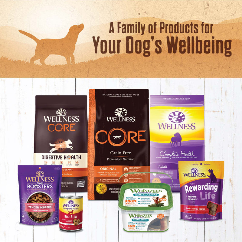 Wellness Natural Grain Free 95% Beef Recipe Adult Wet Canned Dog Food