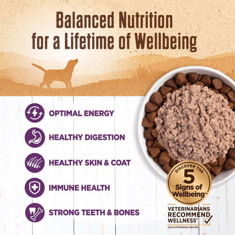 Wellness Natural Grain Free 95% Chicken Recipe Adult Wet Canned Dog Food