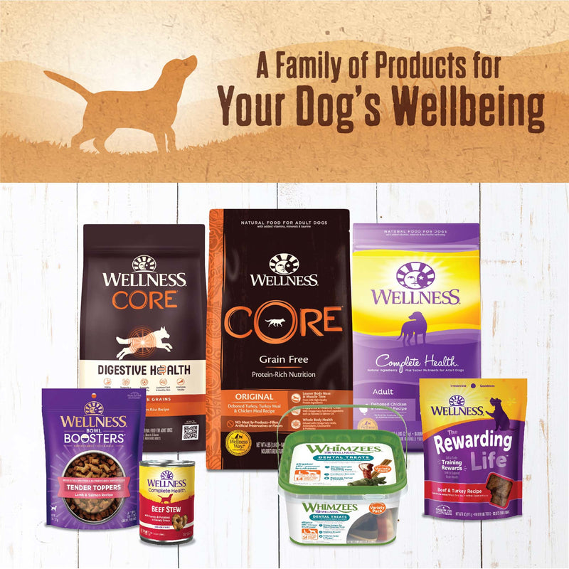 Wellness 95% Turkey Natural Wet Grain Free Canned Dog Food, 13.2-Ounce Can