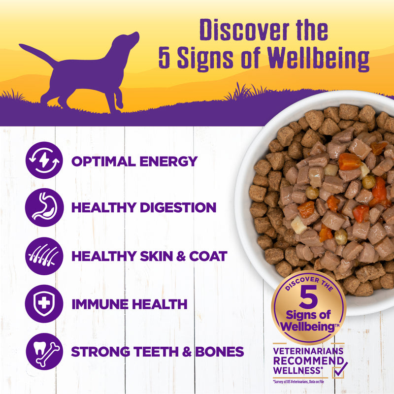 Wellness Thick & Chunky Natural Grain Free Canned Dog Food, Beef Stew, 12.5-Ounce Can