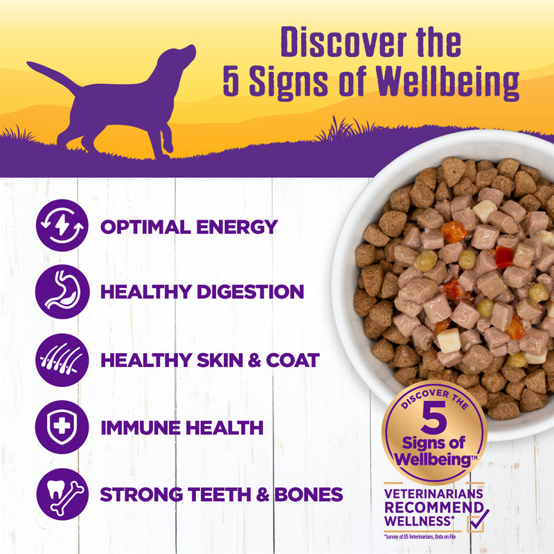 Wellness Thick & Chunky Natural Grain Free Canned Dog Food, Chicken Stew, 12.5-Ounce Can