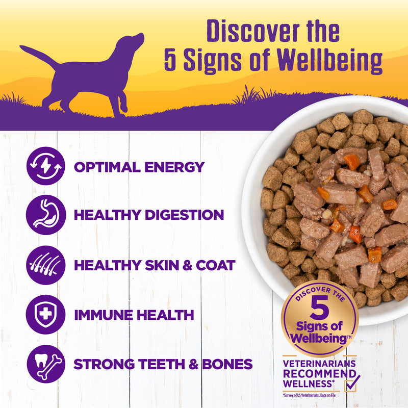 Wellness Thick & Chunky Natural Canned Dog Food, Turkey Stew, 12.5-Ounce Can