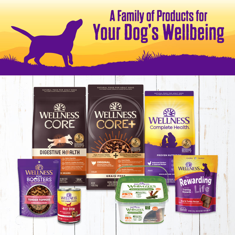Wellness Thick & Chunky Natural Canned Dog Food, Turkey Stew, 12.5-Ounce Can