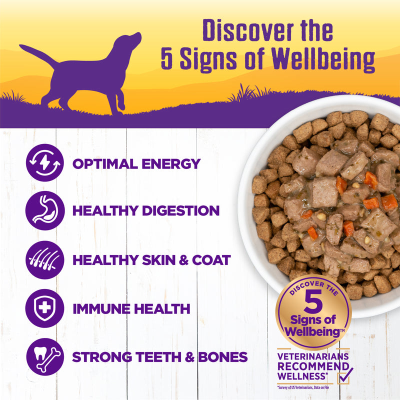Wellness Thick & Chunky Natural Canned Dog Food, Lamb & Beef Stew, 12.5-Ounce Can