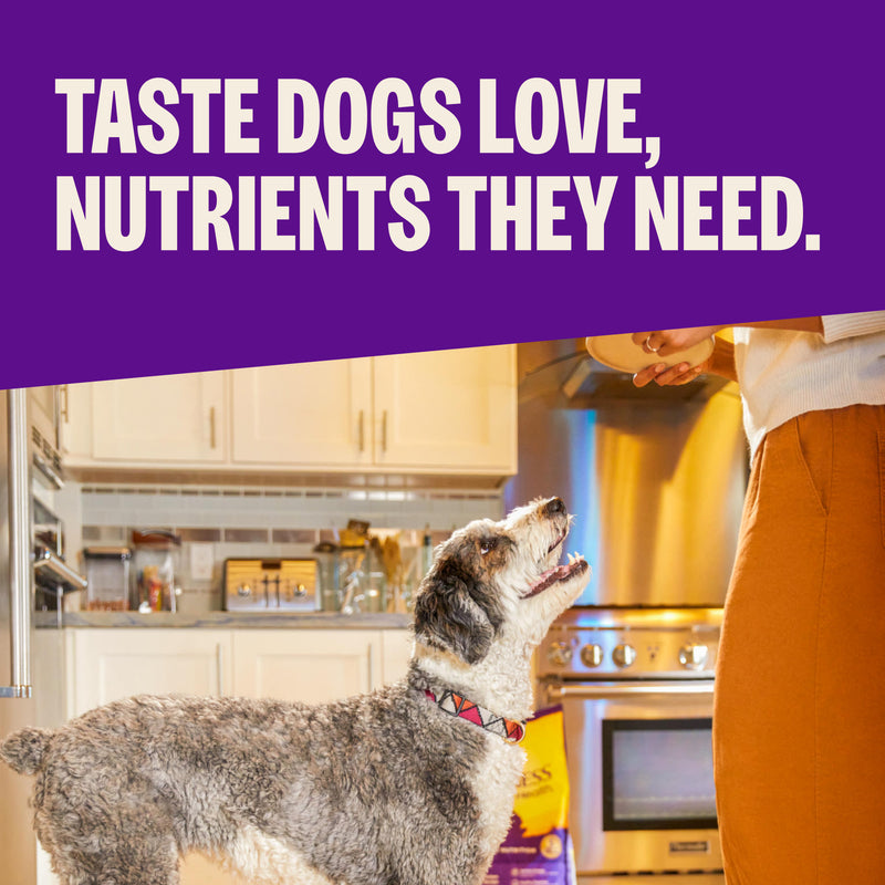 Wellness Complete Health Natural Small Breed Adult Turkey and Oatmeal Recipe Dry Dog Food